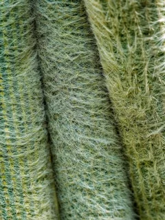 Fall 2025 Knitwear: Cashmere vs. Merino vs. Alpaca - Which is Best? - Cover Image