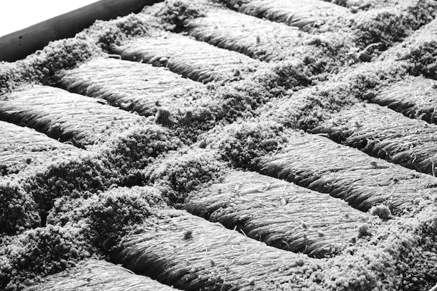 A graphic illustrating how synthetic insulation fibers maintain loft and continue to trap air even when wet, contrasting with how down clumps when wet, losing its insulating properties.
