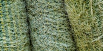 Fall 2025 Knitwear: Cashmere vs. Merino vs. Alpaca - Which is Best? - Cover Image