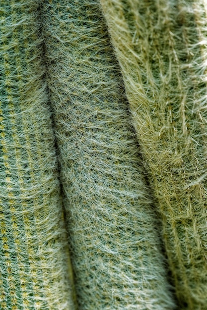 Fall 2025 Knitwear: Cashmere vs. Merino vs. Alpaca – Which is Best?